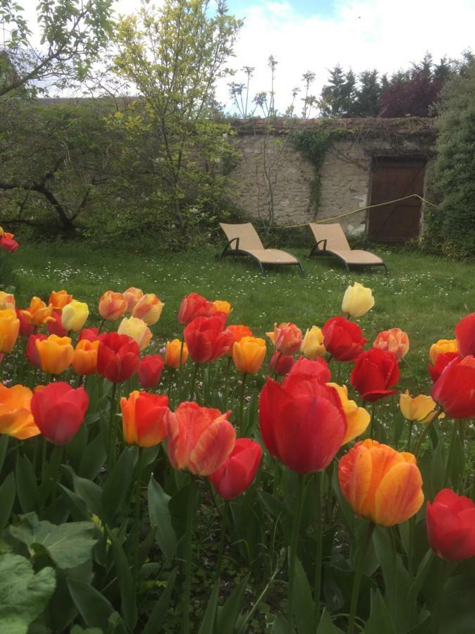 Le Clos Tilia Bed & Breakfast Cléry-Saint-André Екстериор снимка